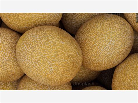 Salmonella in cantaloupes sickens dozens in 15 states, U.S. health officials say